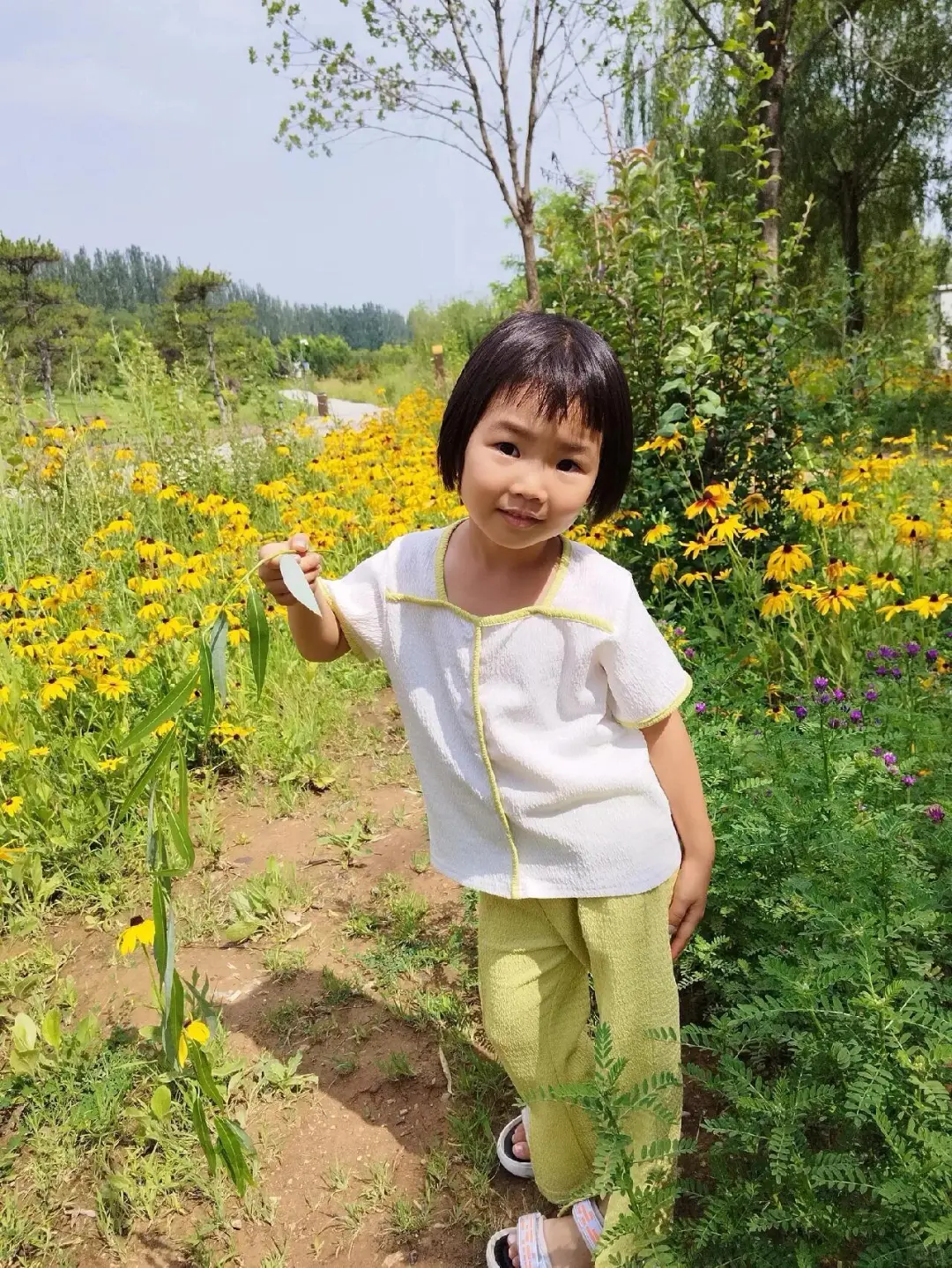 🌿 汾河四期 | 解锁太原“城市绿肺”N种玩法