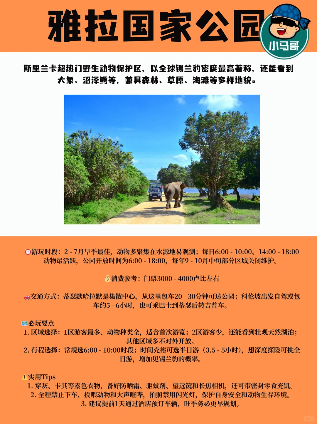 🇱🇰斯里兰卡必玩景点大全｜一篇搞定无废话