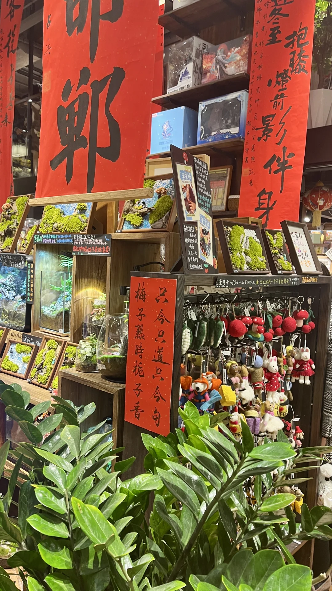 女大学生周末邯郸一日游🎒|✅攻略分享~