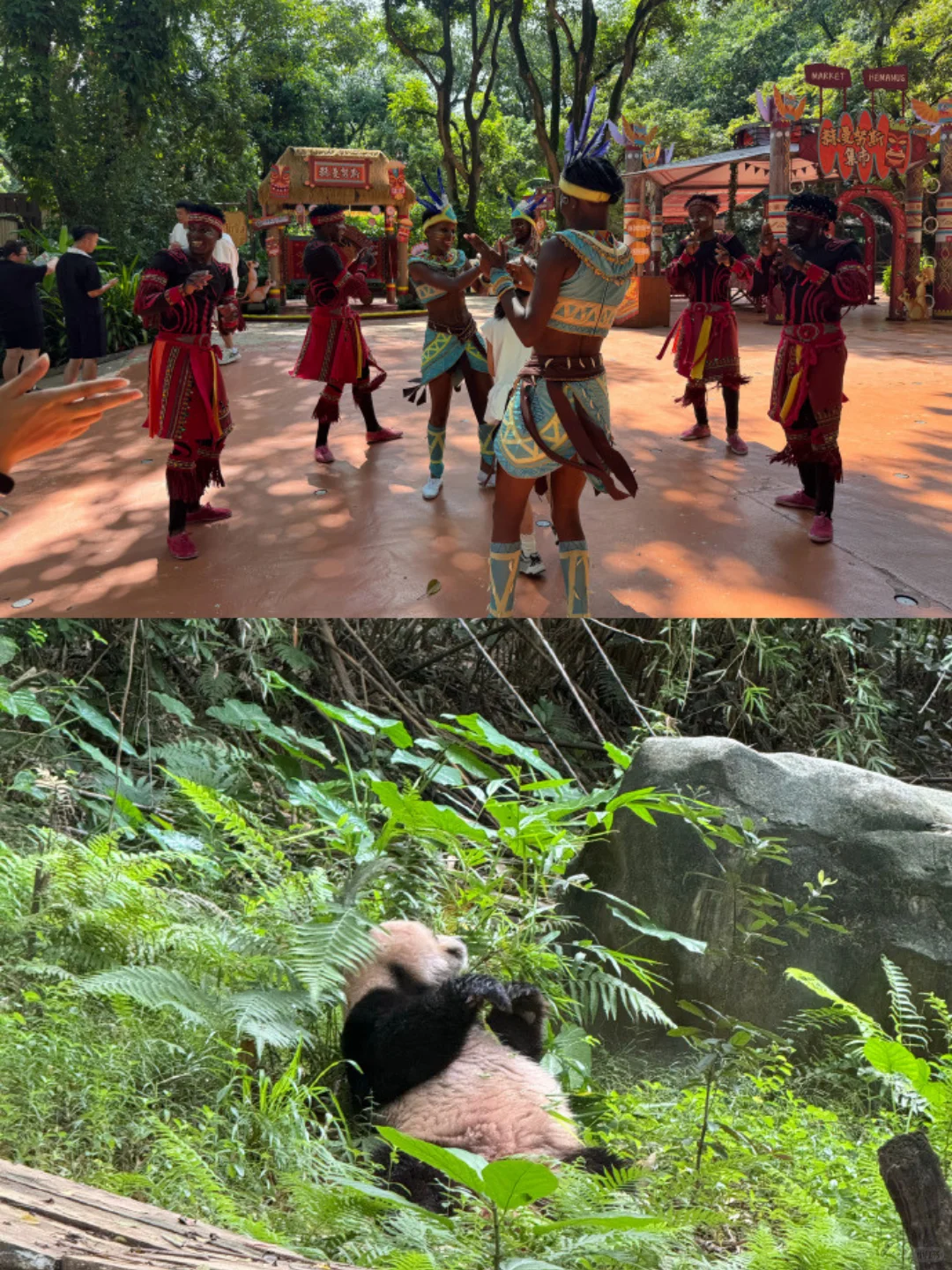 疯了！一票三园‼️ 2天1晚玩遍长隆立省小一千