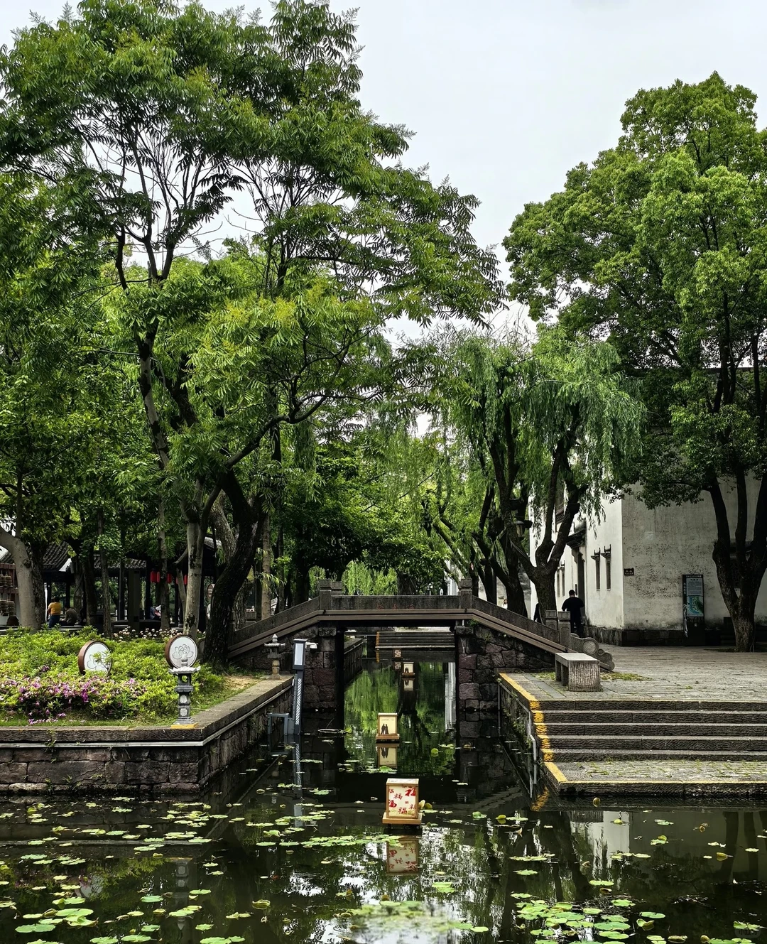 绝绝子！西施故里这么玩才对味😍浙江小众宝