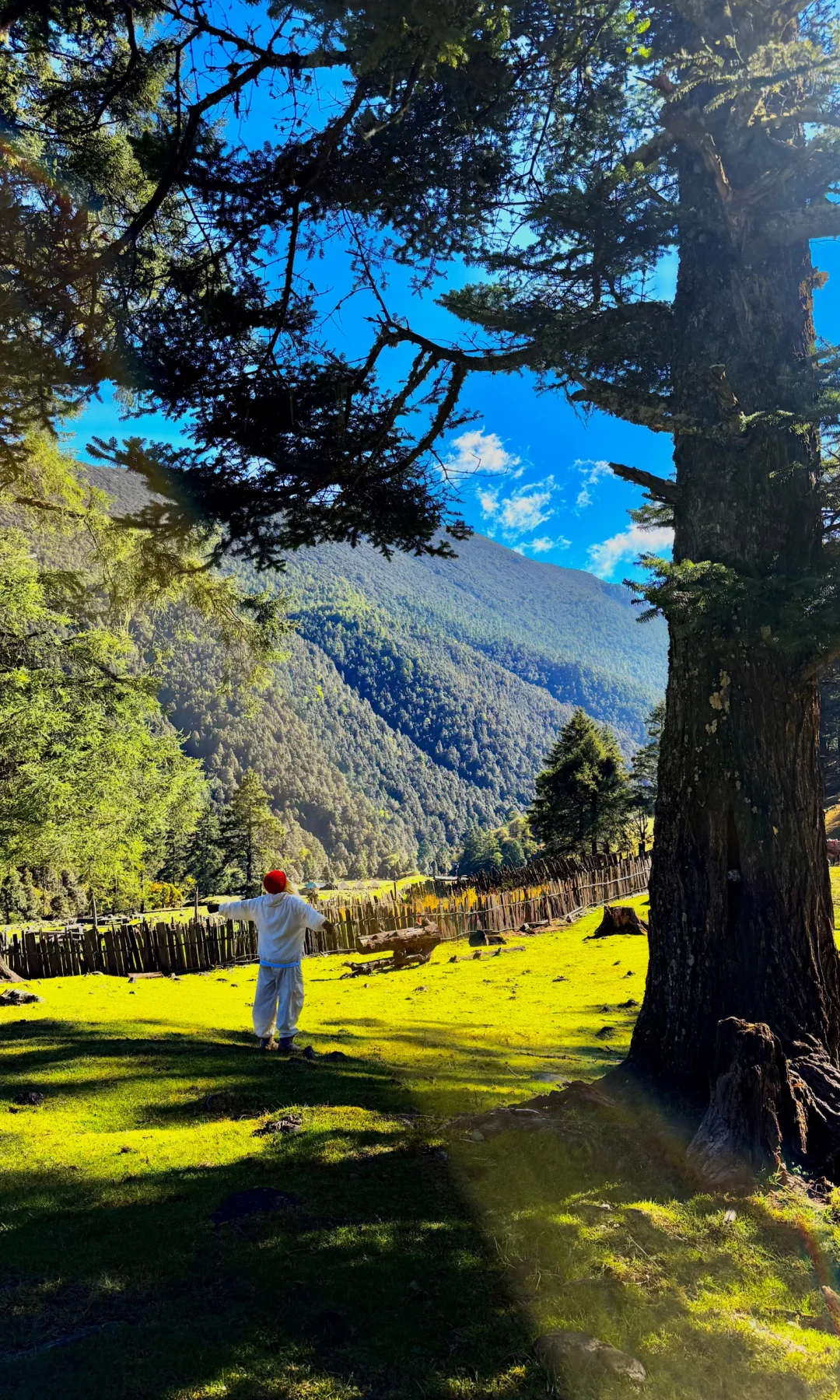 天🦆！！！这是到了天堂吗！！！📍附攻略