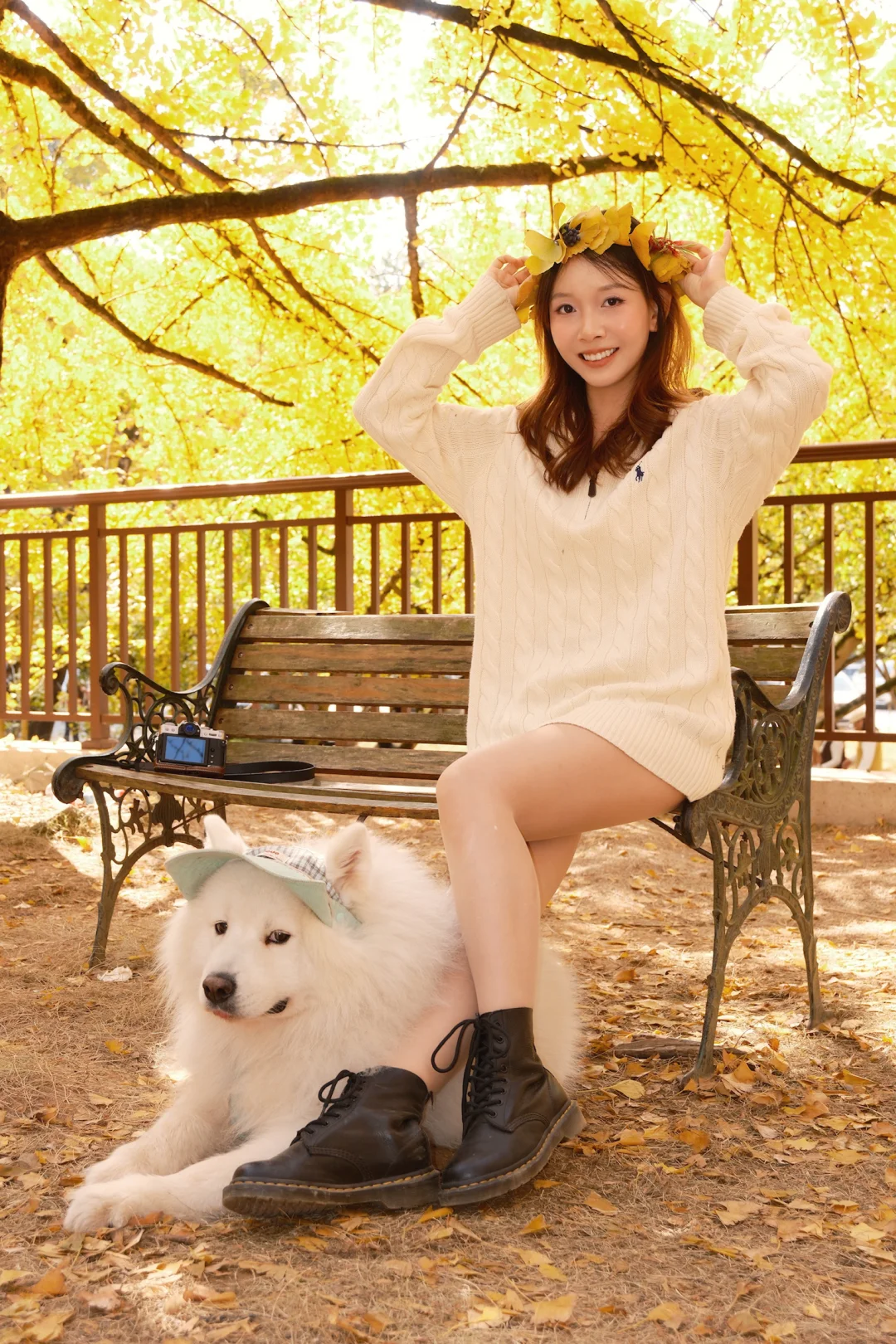 广东带狗游|韶关帽子峰赏银杏叶