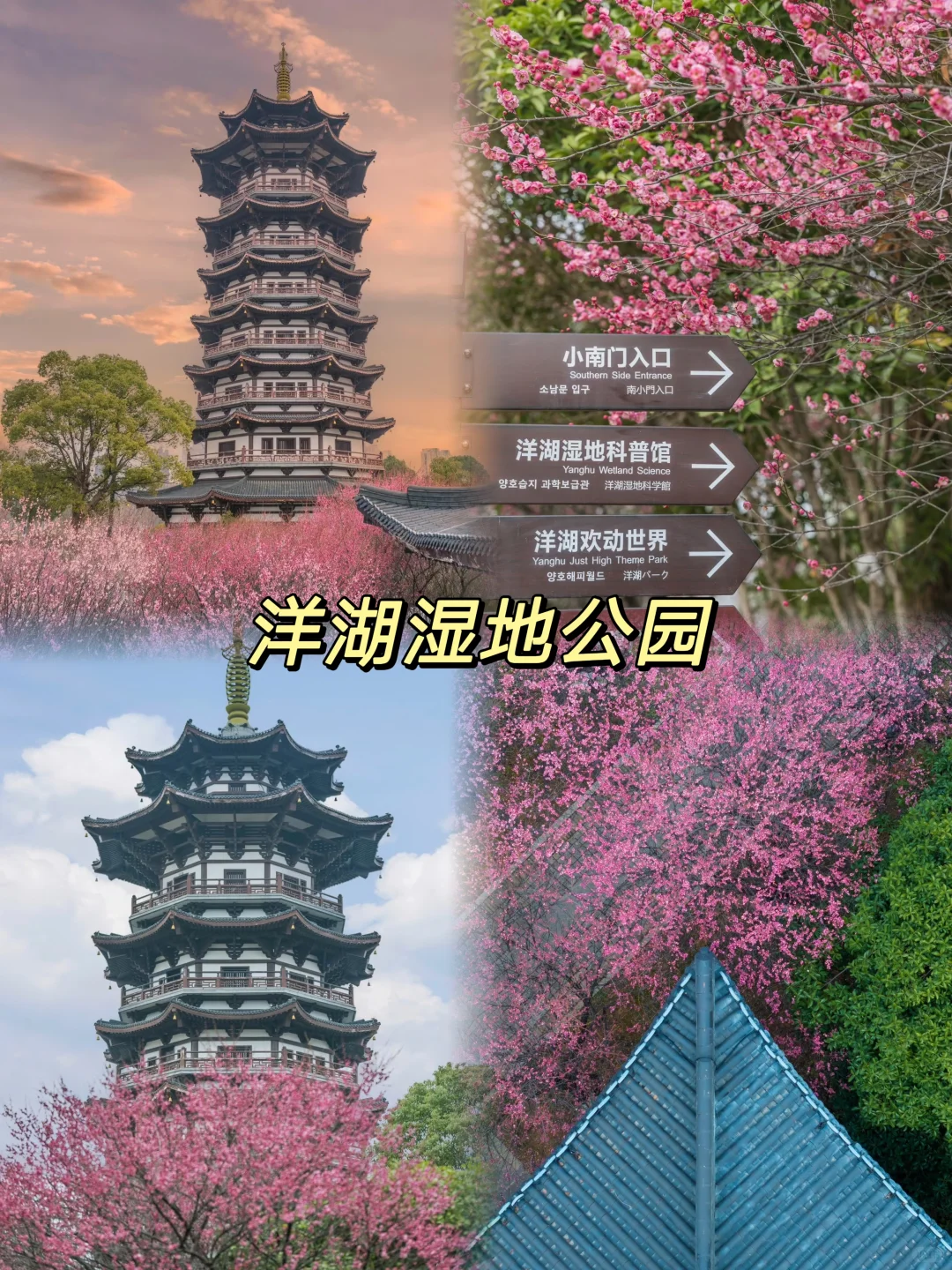 长沙9大宝藏地，会反复溜娃的9个地方✨