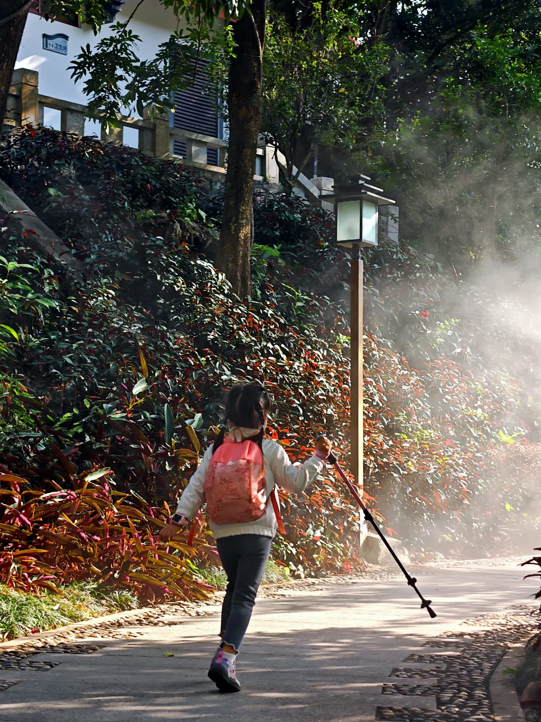 罗浮山亲子游｜带娃疯玩一整天还不想走！