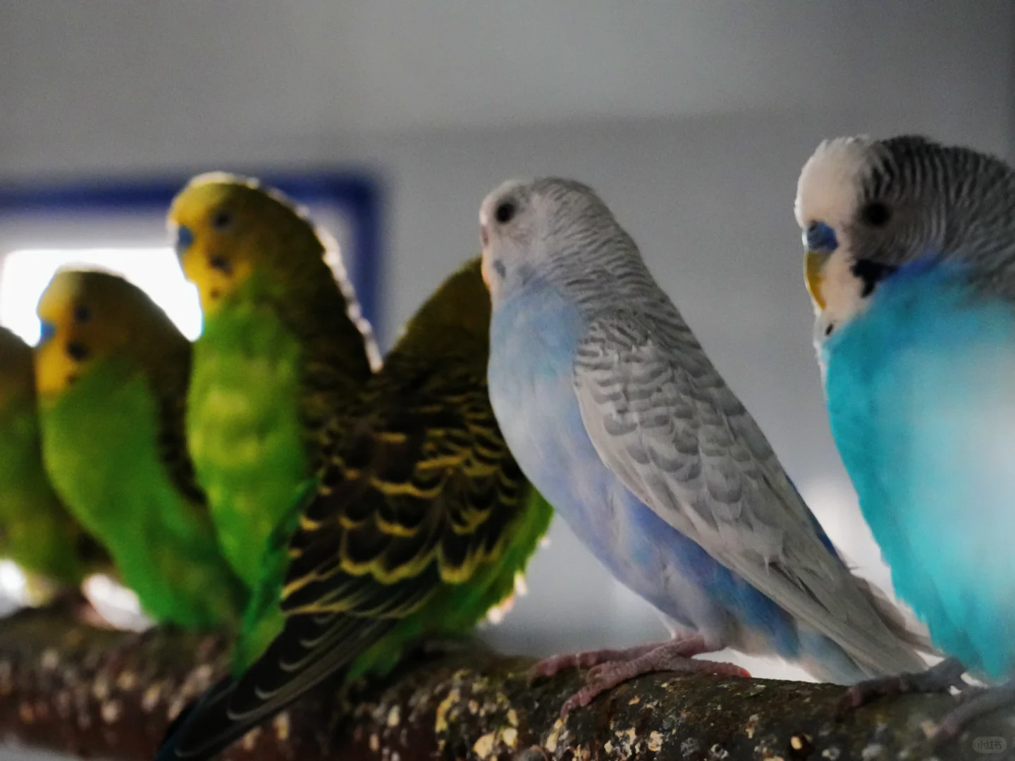 哈密跨年必冲！回王府双时空狂欢太会玩了🎆