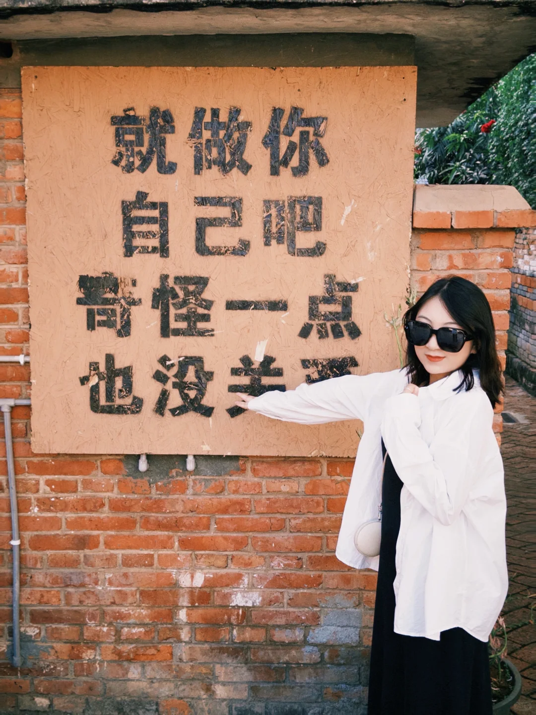 普洱| 咖啡庄园体验和看小熊猫的一天