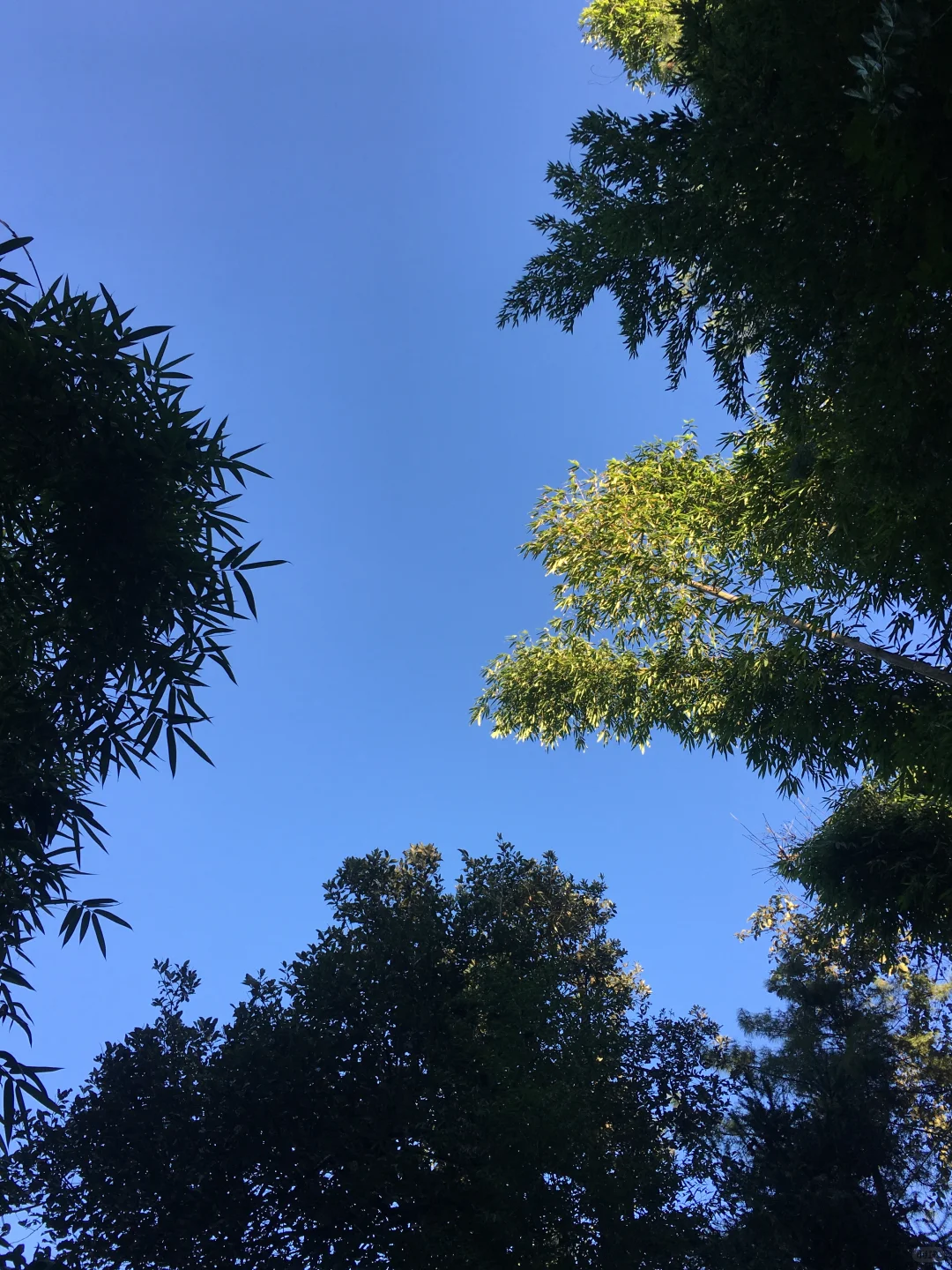 回村的快乐！！！