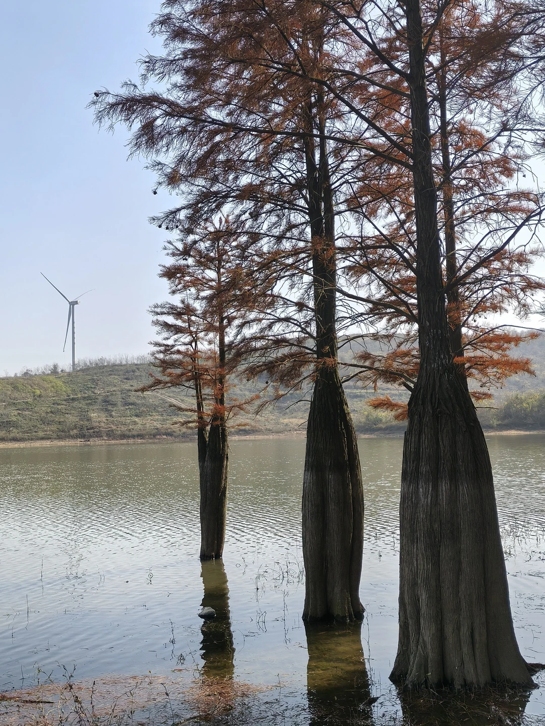 📍深秋止马岭｜南京亲子徒步天花板🍁💕