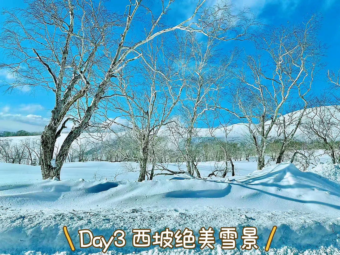 看完再来！长白山4天3晚亲子游亲测精华攻略