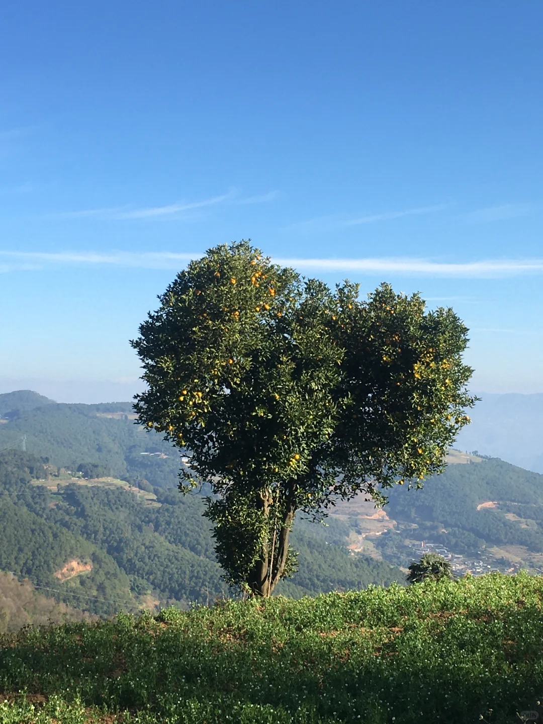 回村的快乐！！！