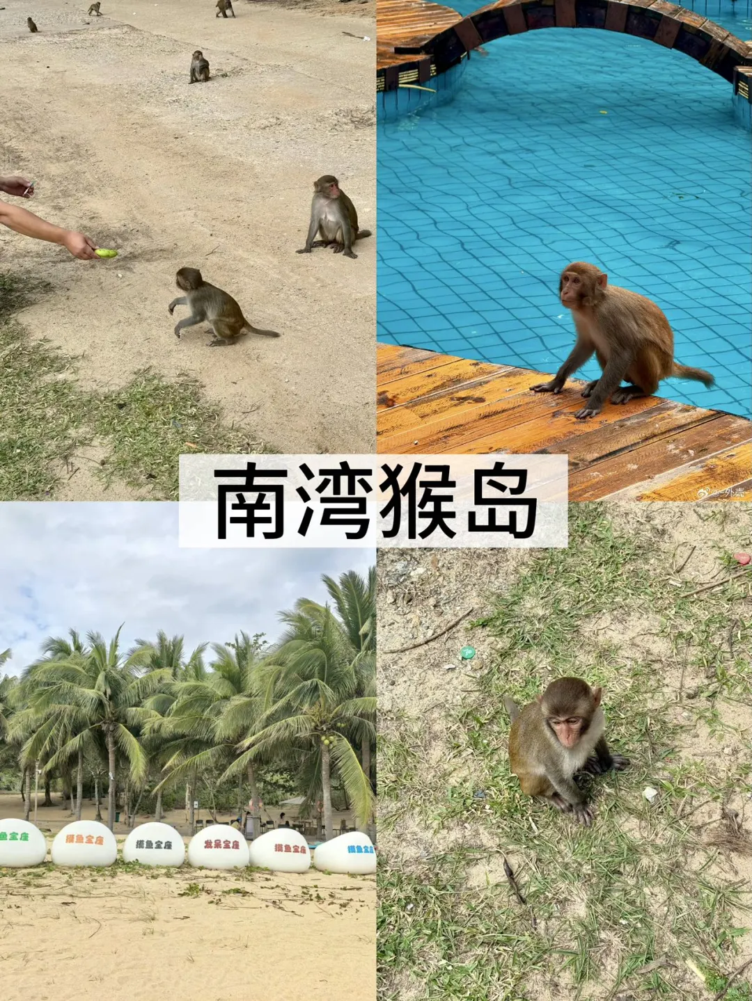 带爸妈游陵水｜2天1夜省心攻略