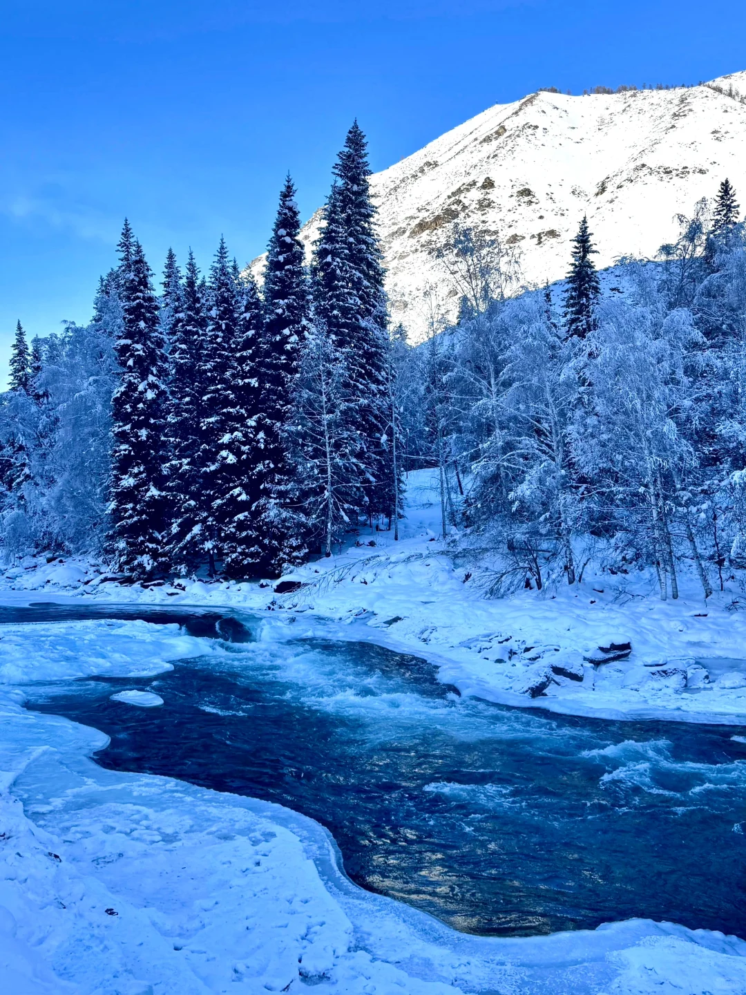 live图实拍｜冬天的北疆才是人间理想❄️