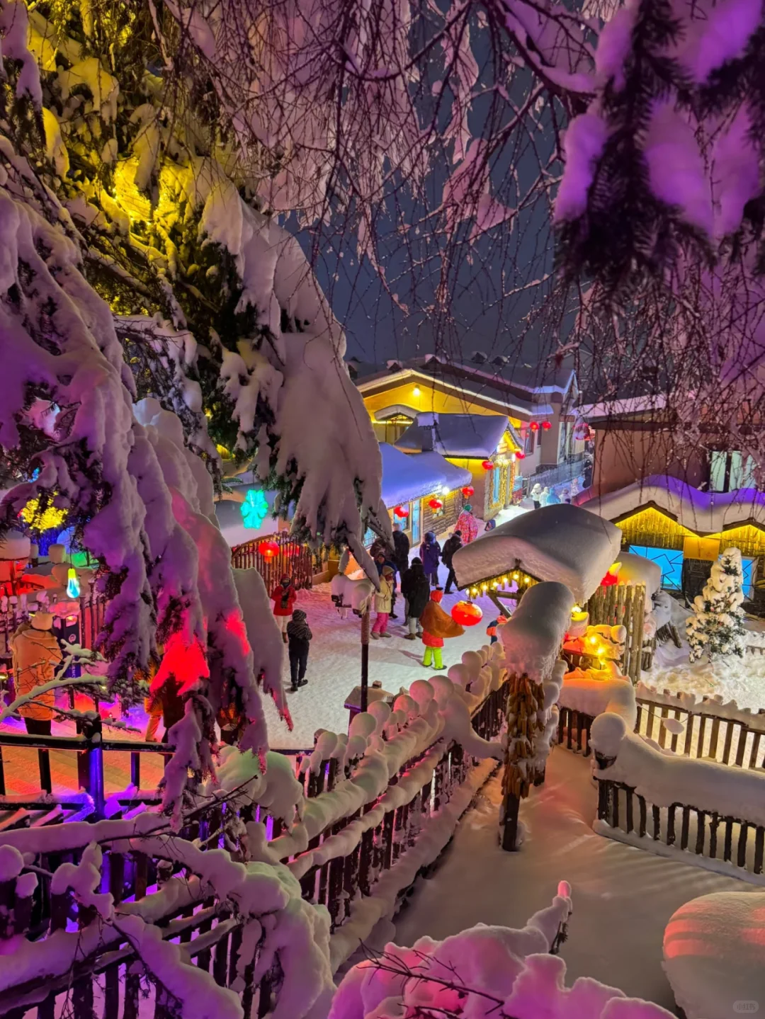 雪乡今天正式开园啦，这篇告诉你怎么玩！