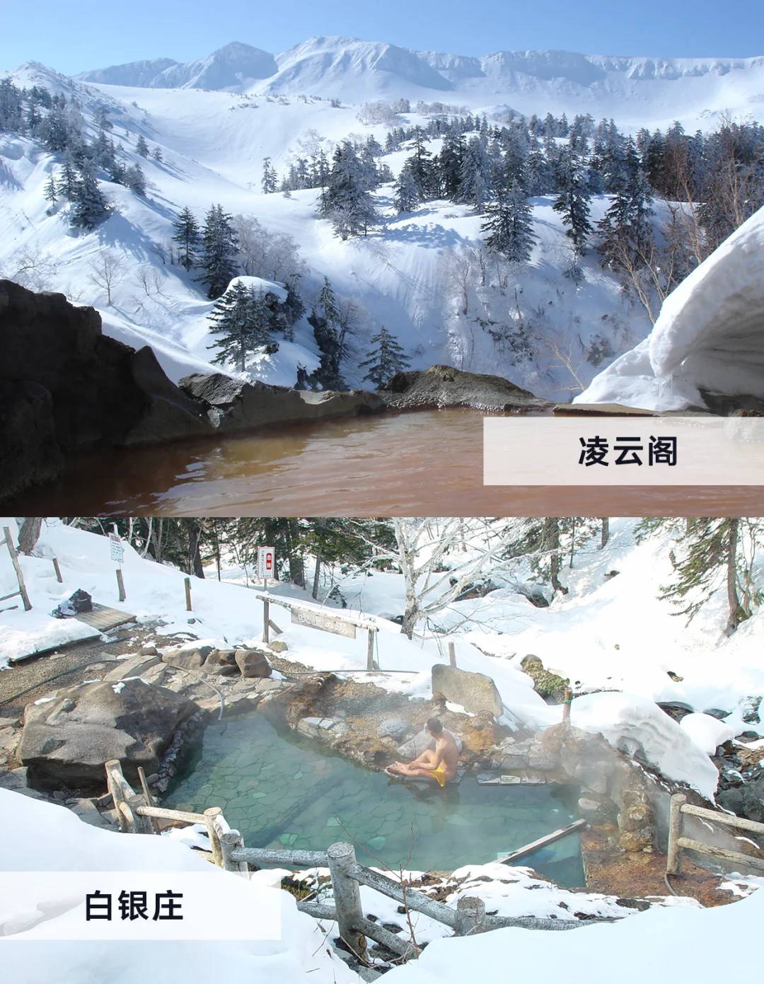 冬日富良野美瑛自由行必看｜景点篇！