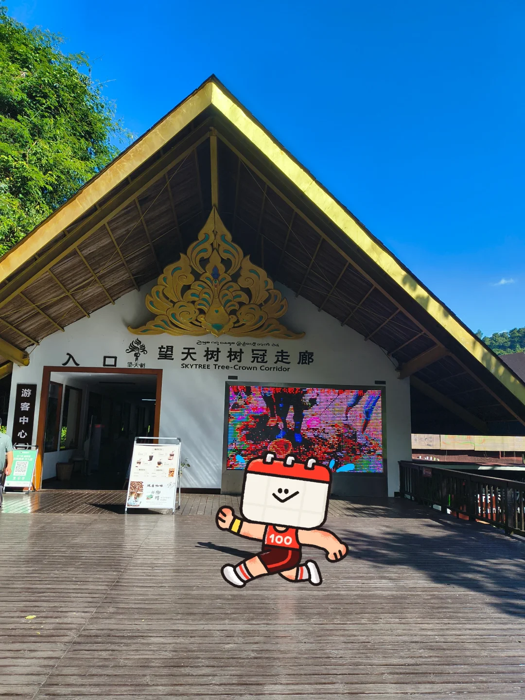 坐高铁去望天树景区