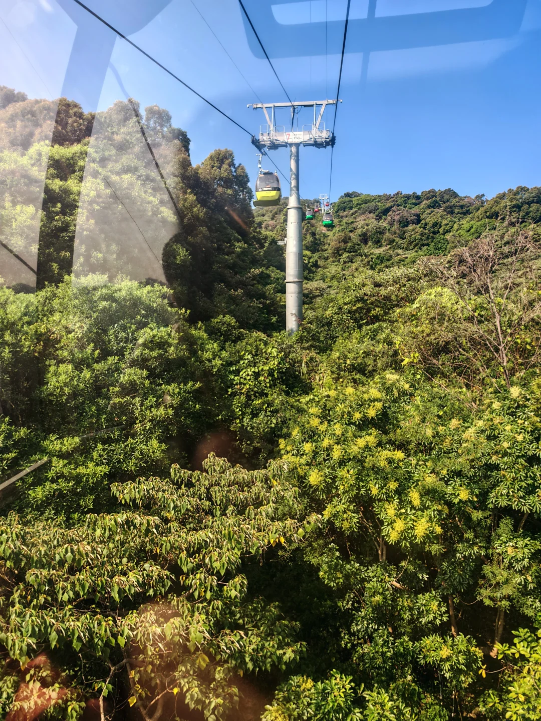 罗浮山亲子游｜带娃疯玩一整天还不想走！