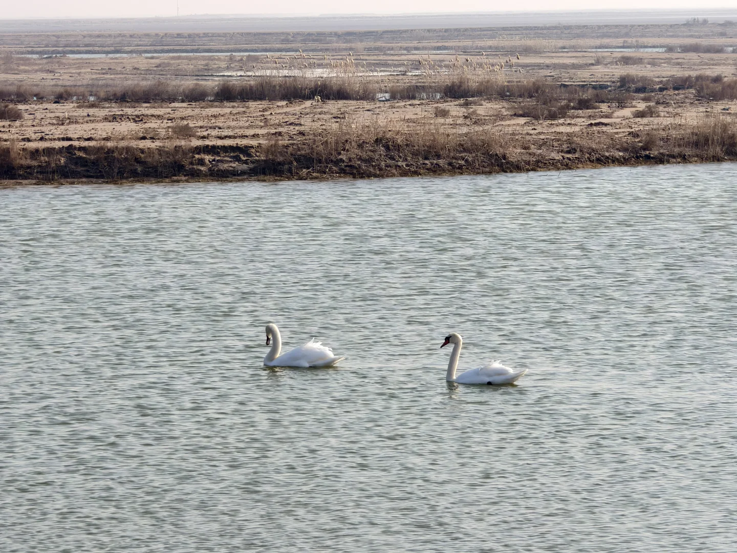 在黄河口景区能玩一整天