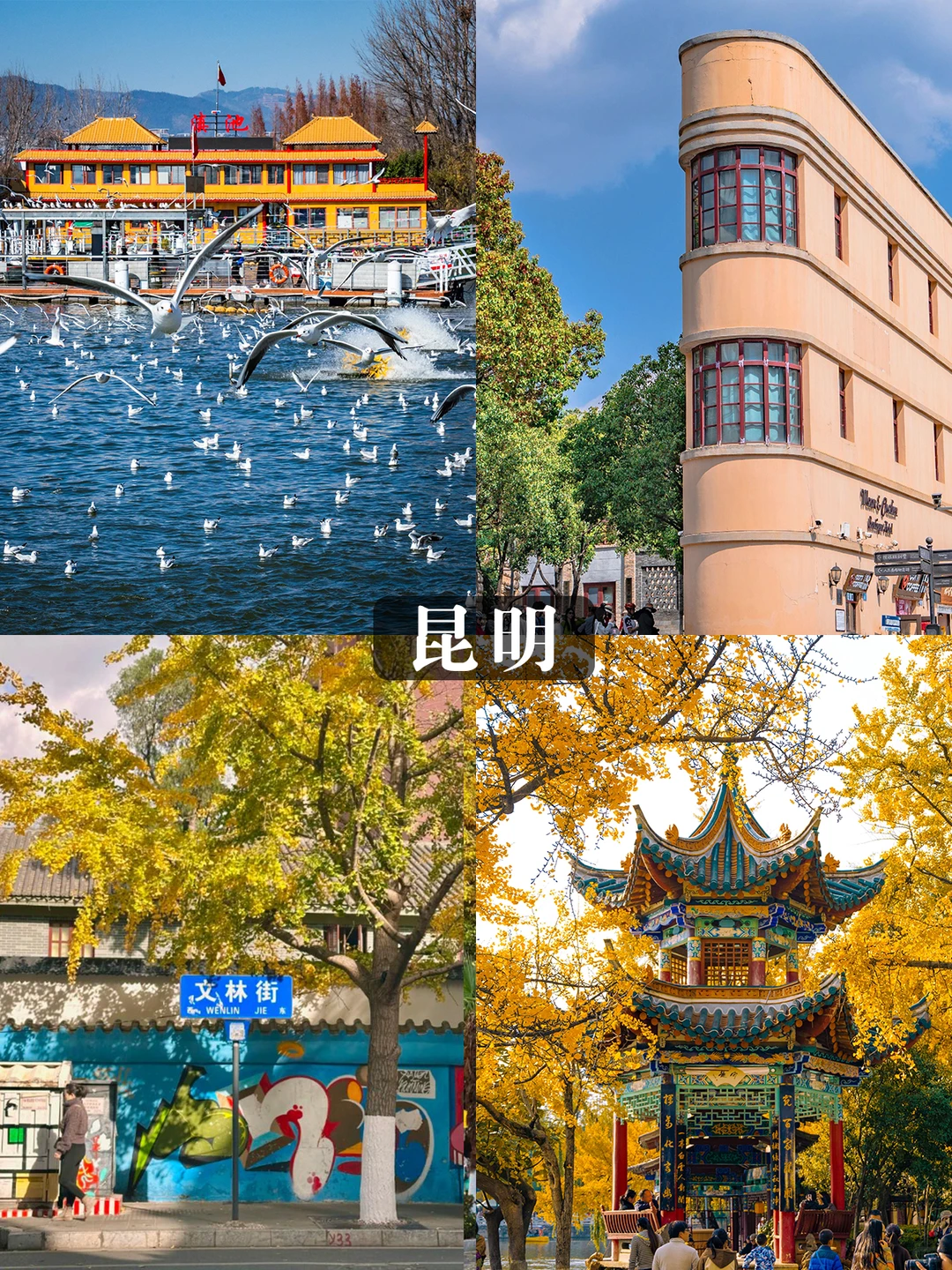 从风花雪月到热带雨林💰人均1k+玩到爽❗