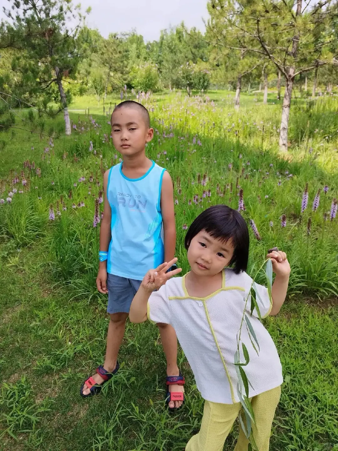 🌿 汾河四期 | 解锁太原“城市绿肺”N种玩法
