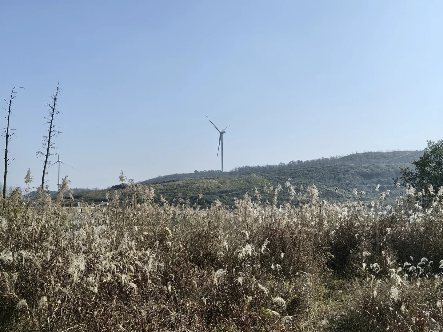 📍深秋止马岭｜南京亲子徒步天花板🍁💕
