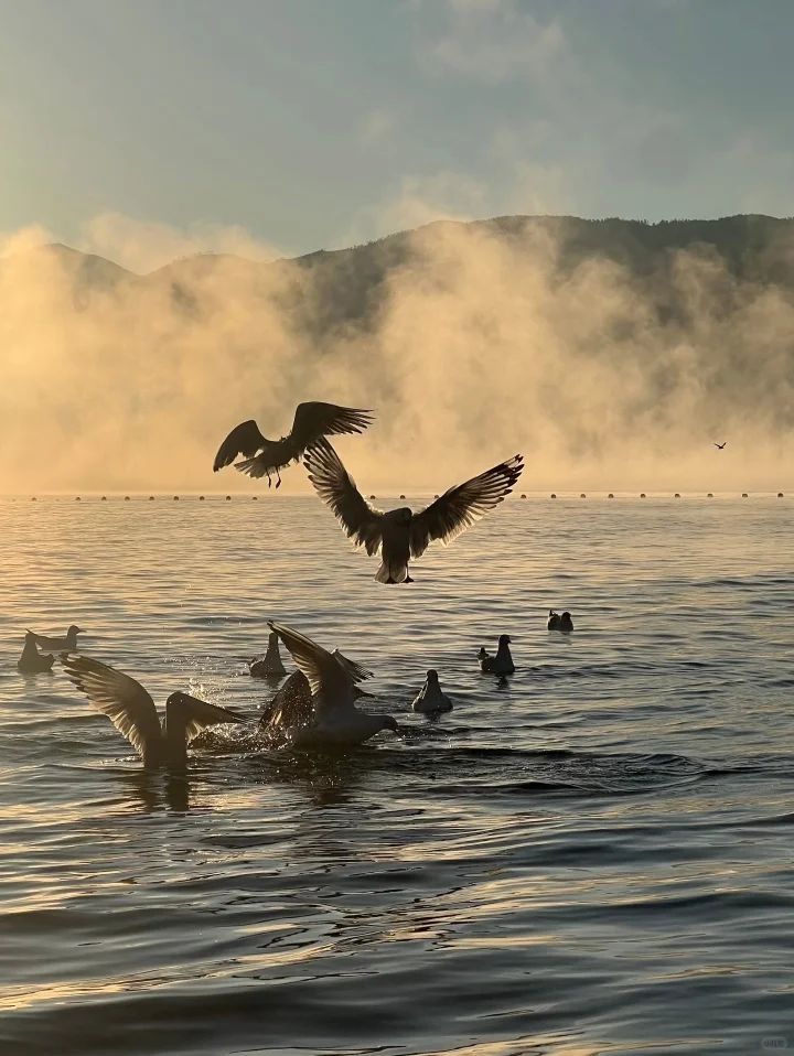 11.30📍泸沽湖现状，美疯了🤩要来的不