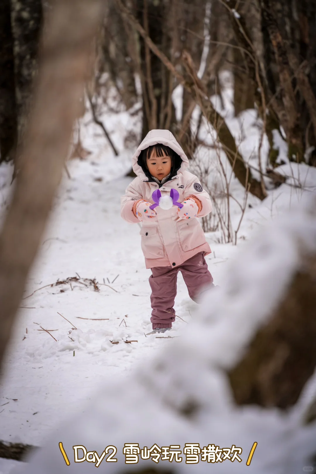 看完再来！长白山4天3晚亲子游亲测精华攻略