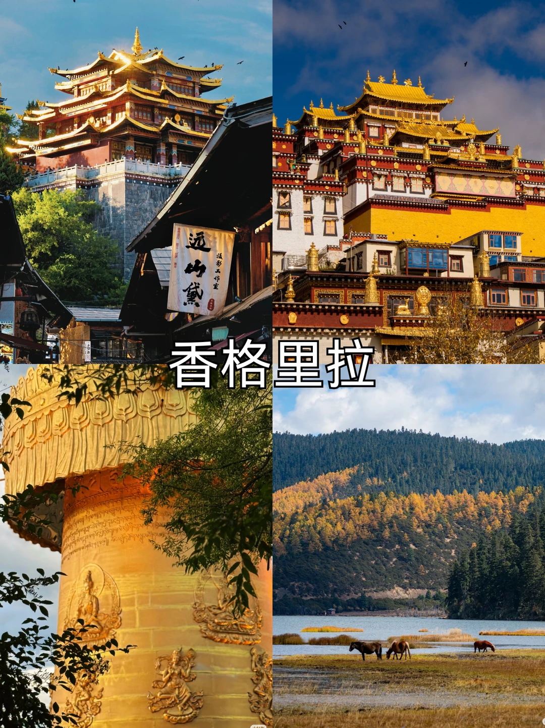 云南私人定制🌈 云南旅行别瞎做攻略咯！