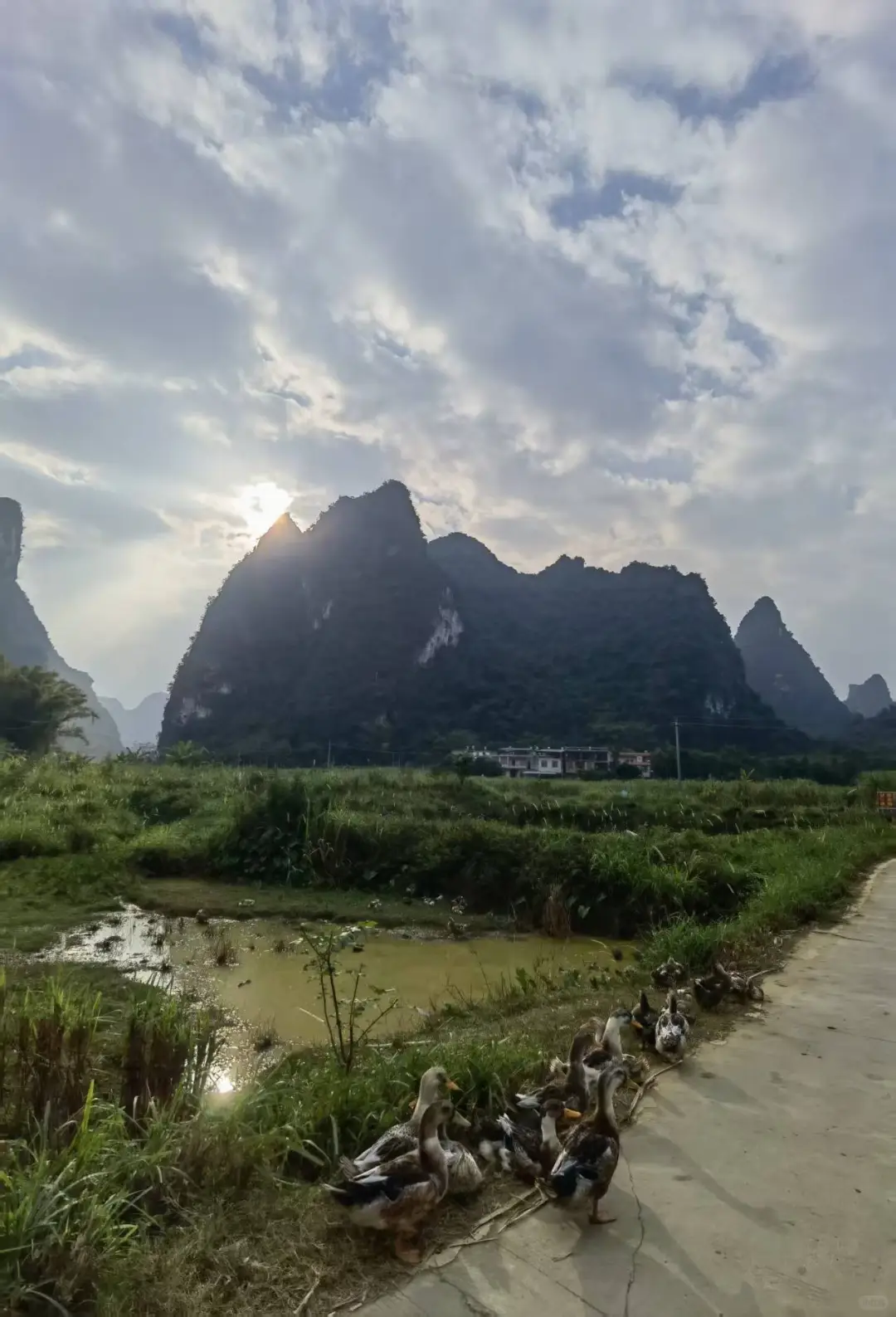 明仕田园景区12月6日现状