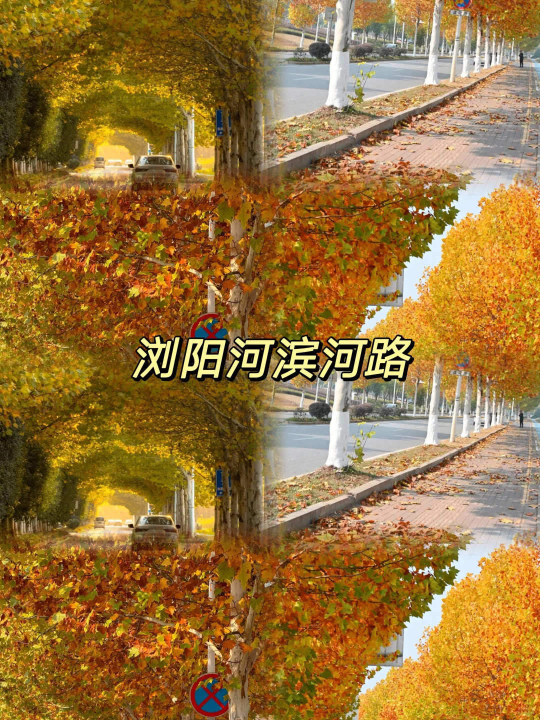 长沙9大宝藏地，会反复溜娃的9个地方✨