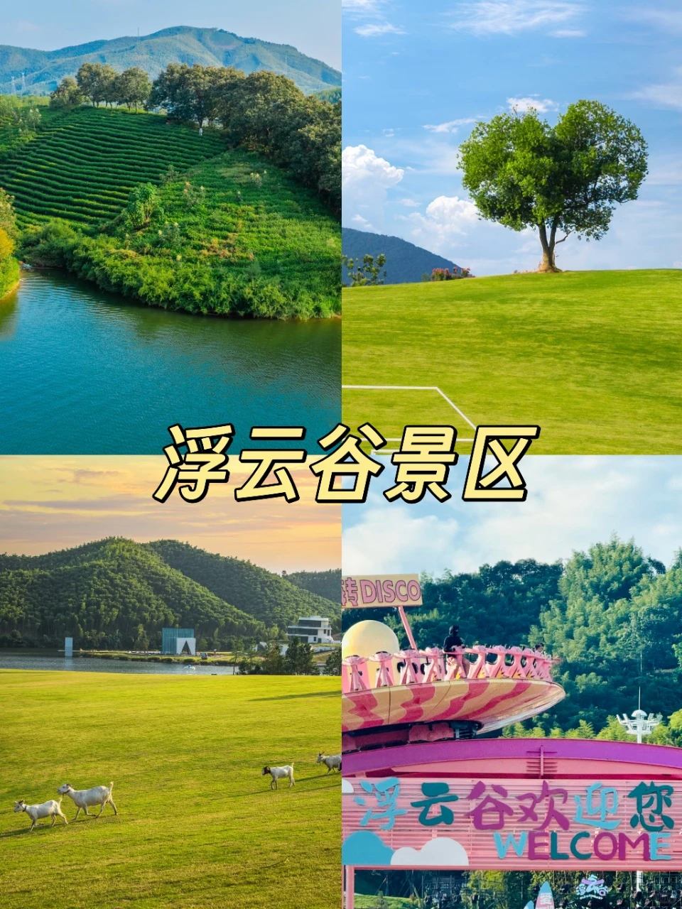 苏州出发🚗安吉两天一夜玩什么？