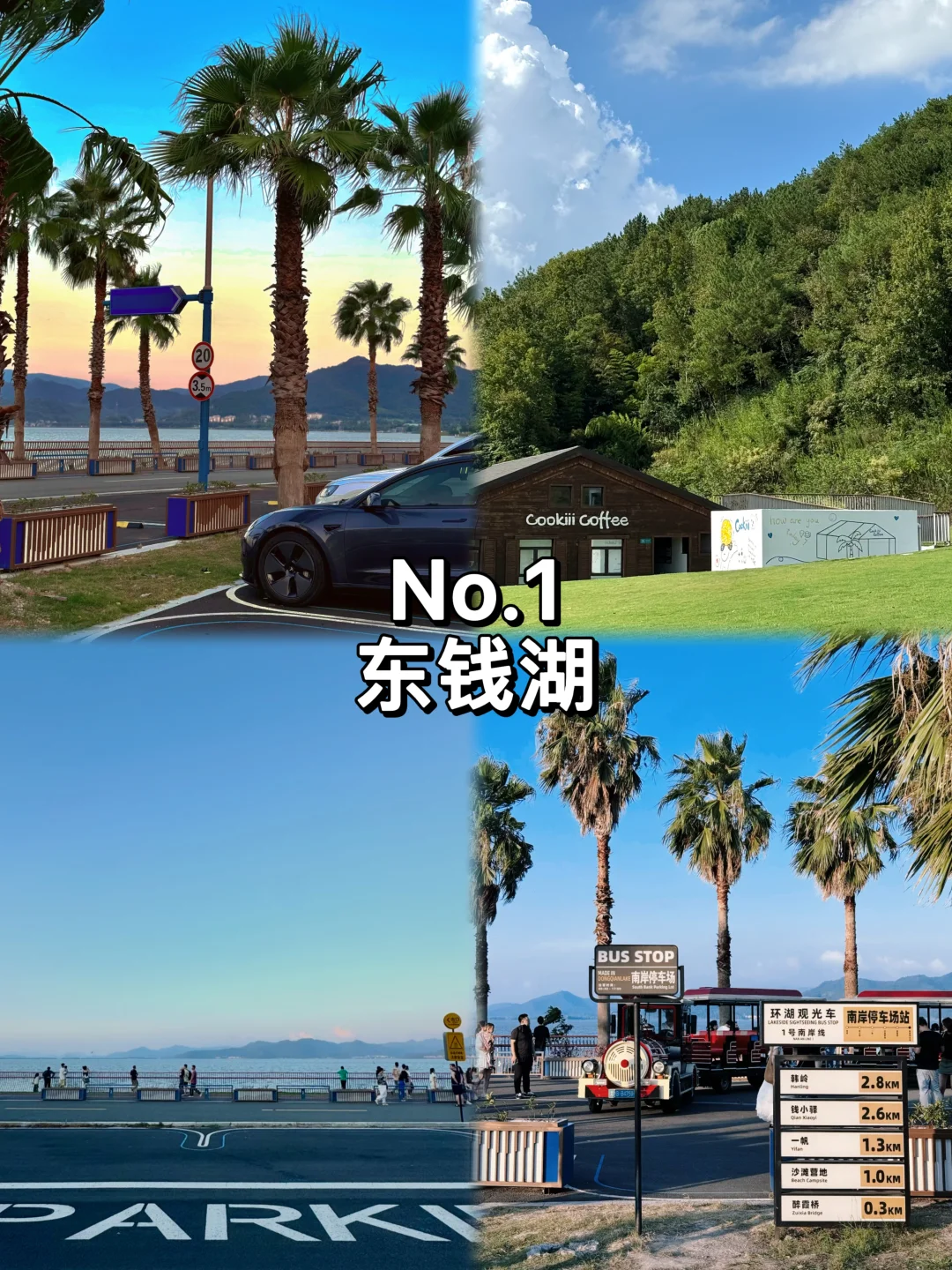 宁波必打卡九大景点推荐✅