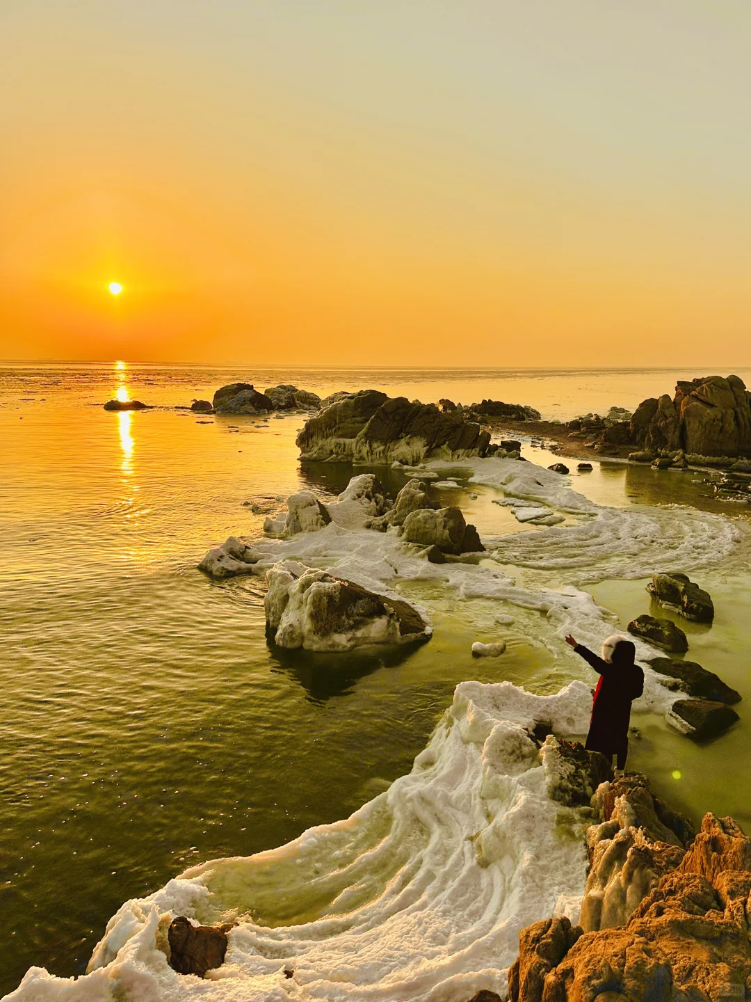 我为了这18张live图特意去了趟秦皇岛🌊