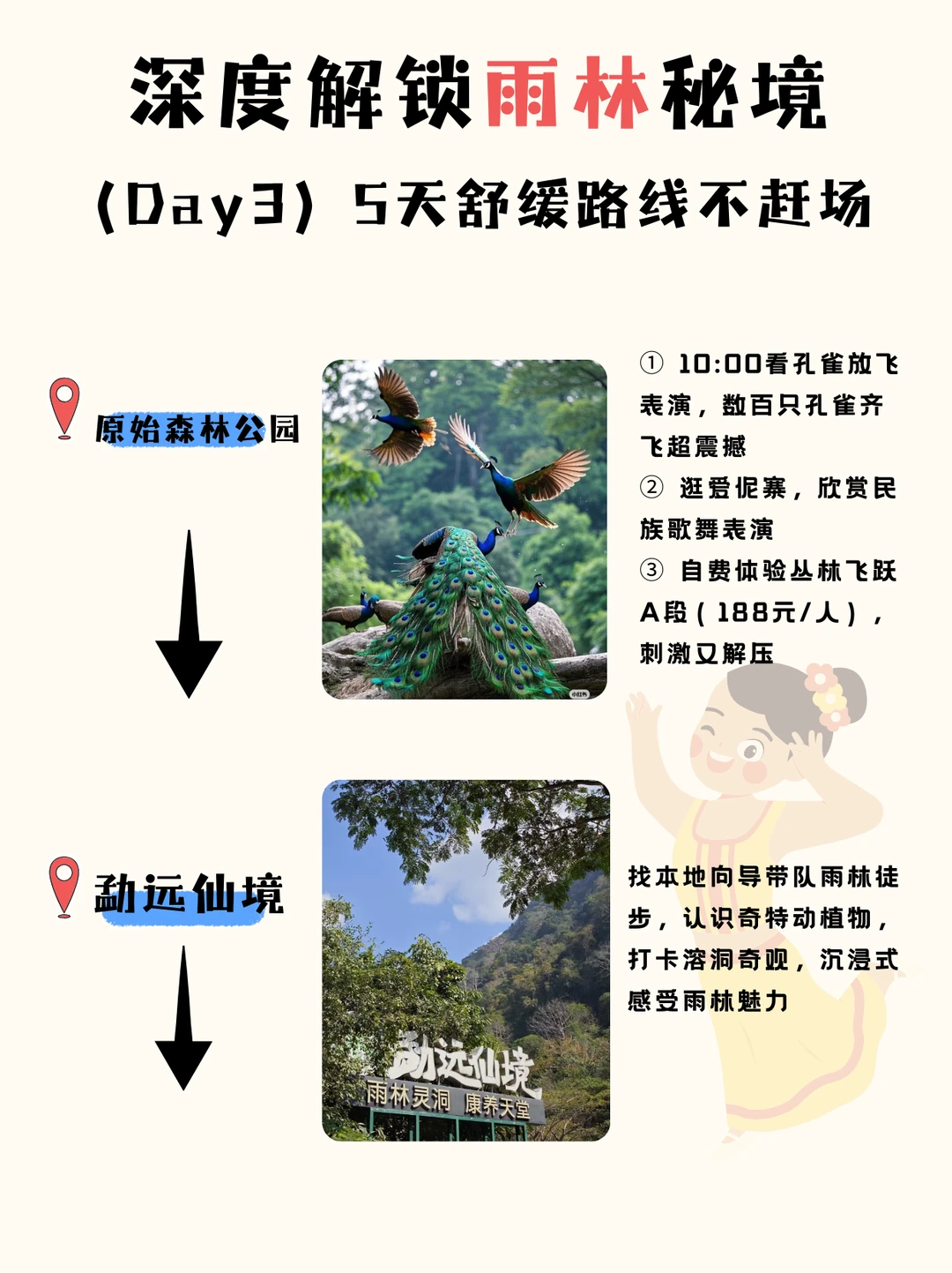 版纳5天4晚定制游｜深度解锁雨林秘境✨