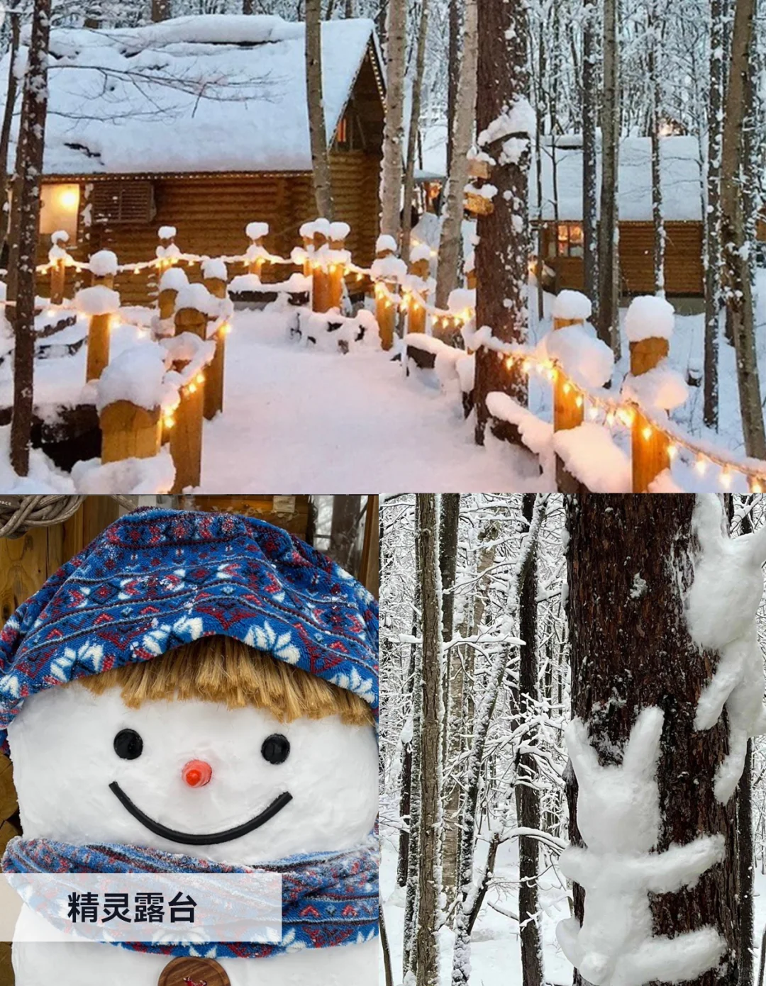 冬日富良野美瑛自由行必看｜景点篇！