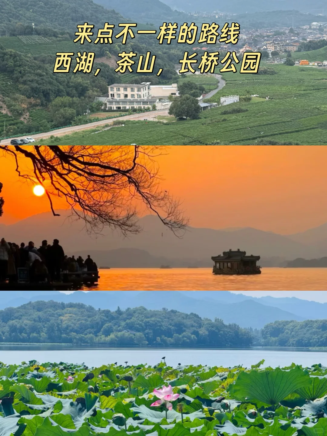 杭州旅游后劲太大！景区酒店人均两位数😅