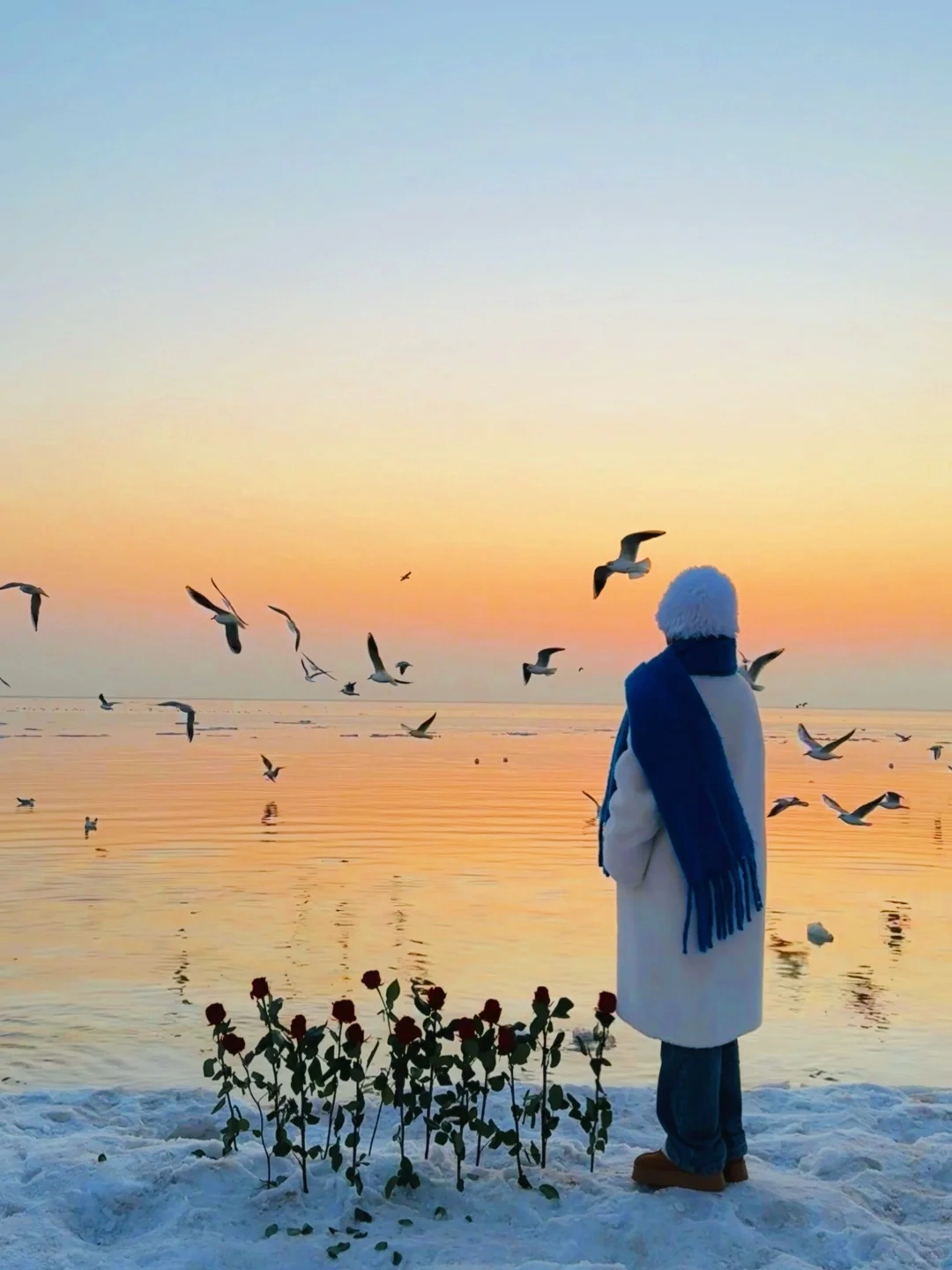 我为了这18张live图特意去了趟秦皇岛🌊