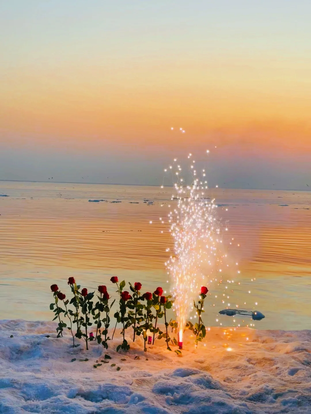 我为了这18张live图特意去了趟秦皇岛🌊