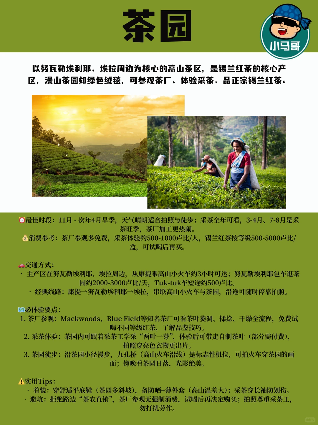 🇱🇰斯里兰卡必玩景点大全｜一篇搞定无废话