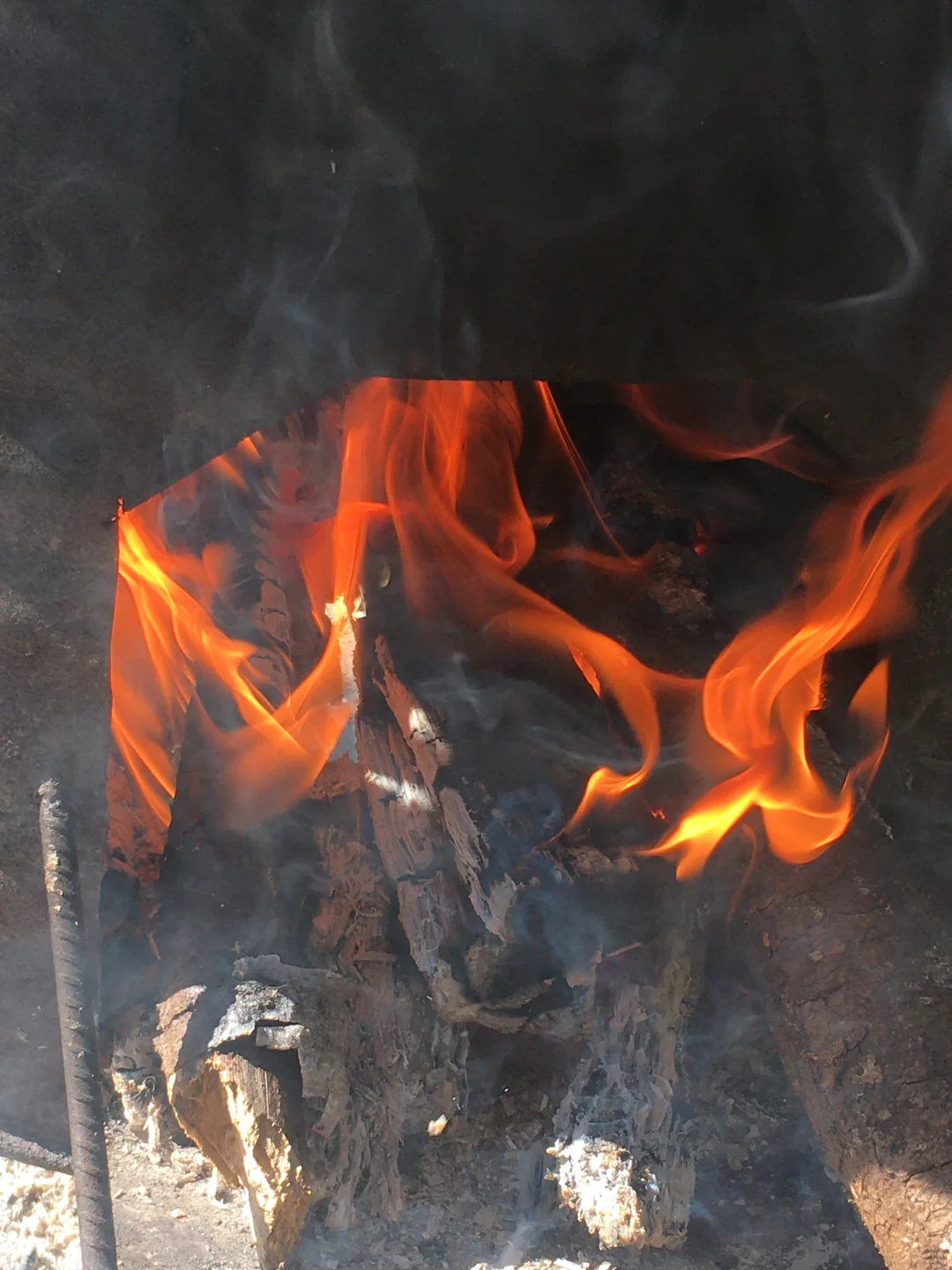 回村的快乐！！！