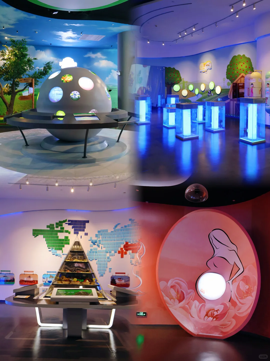 珠海遛娃宝藏地｜营养探索超快乐