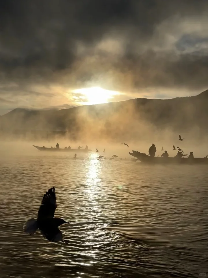 11.30📍泸沽湖现状，美疯了🤩要来的不