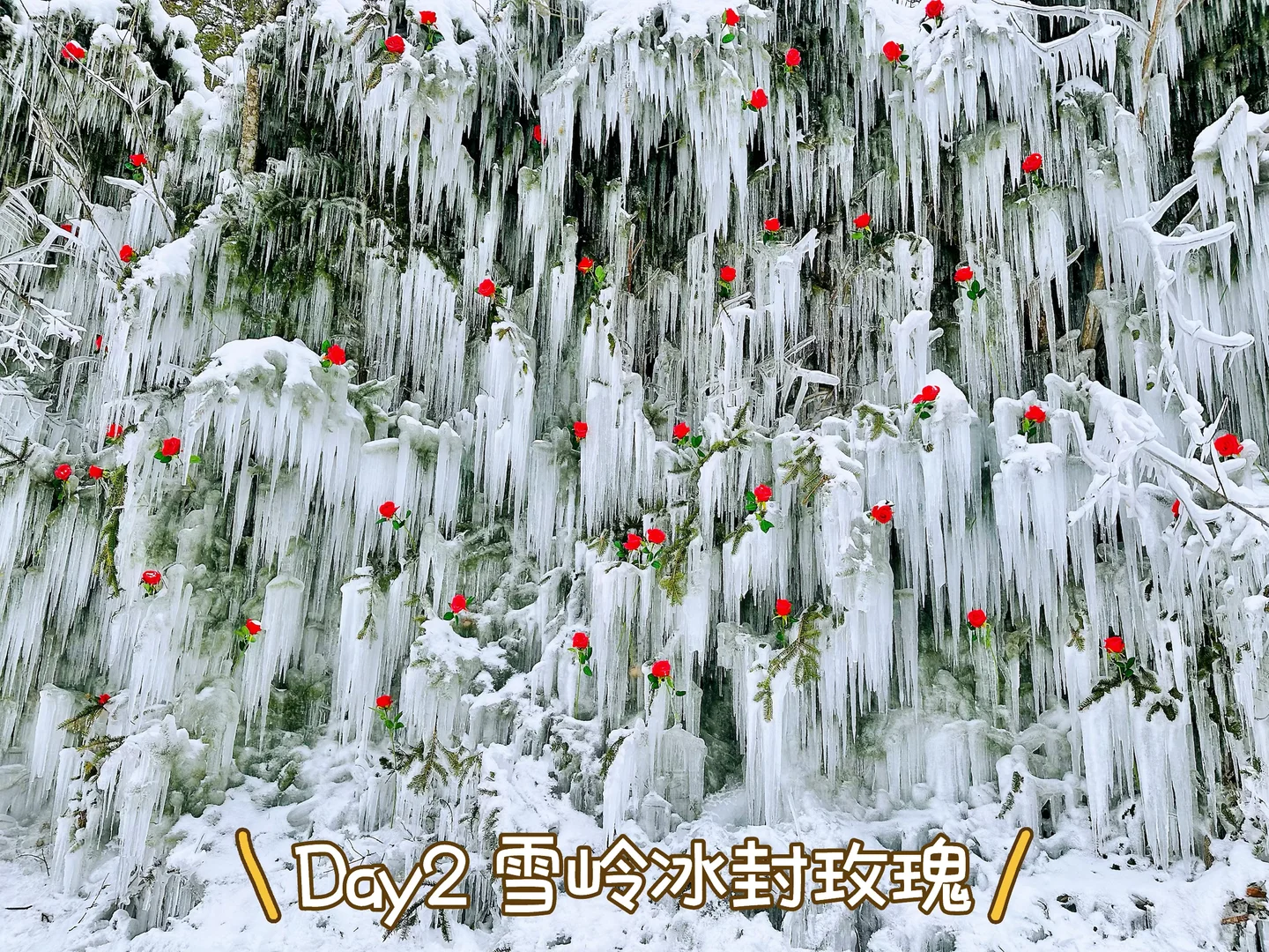 看完再来！长白山4天3晚亲子游亲测精华攻略