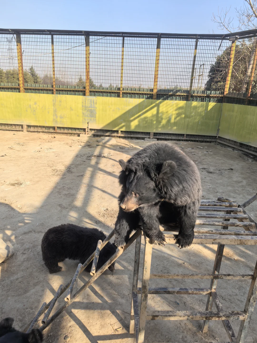 这里真的适合带娃来玩呀！强推