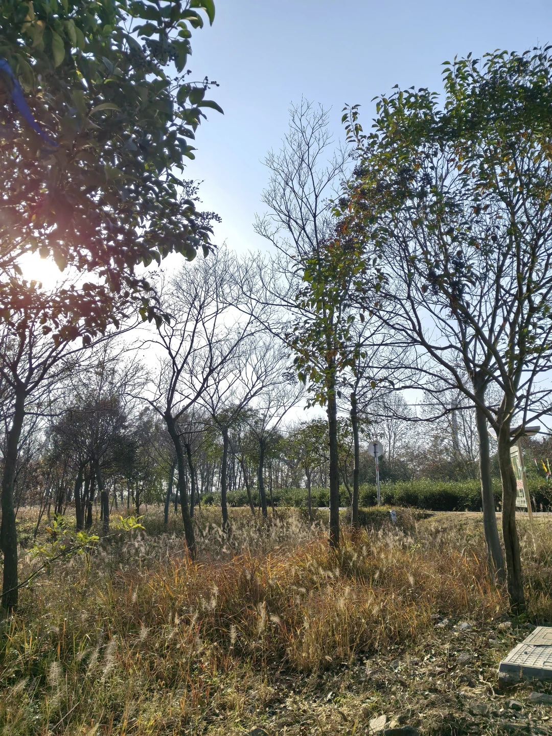 📍深秋止马岭｜南京亲子徒步天花板🍁💕