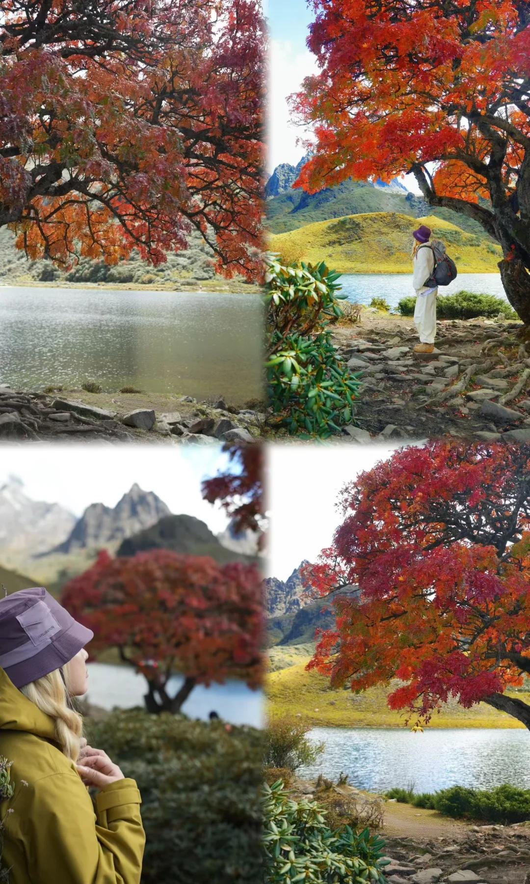 天🦆！！！这是到了天堂吗！！！📍附攻略