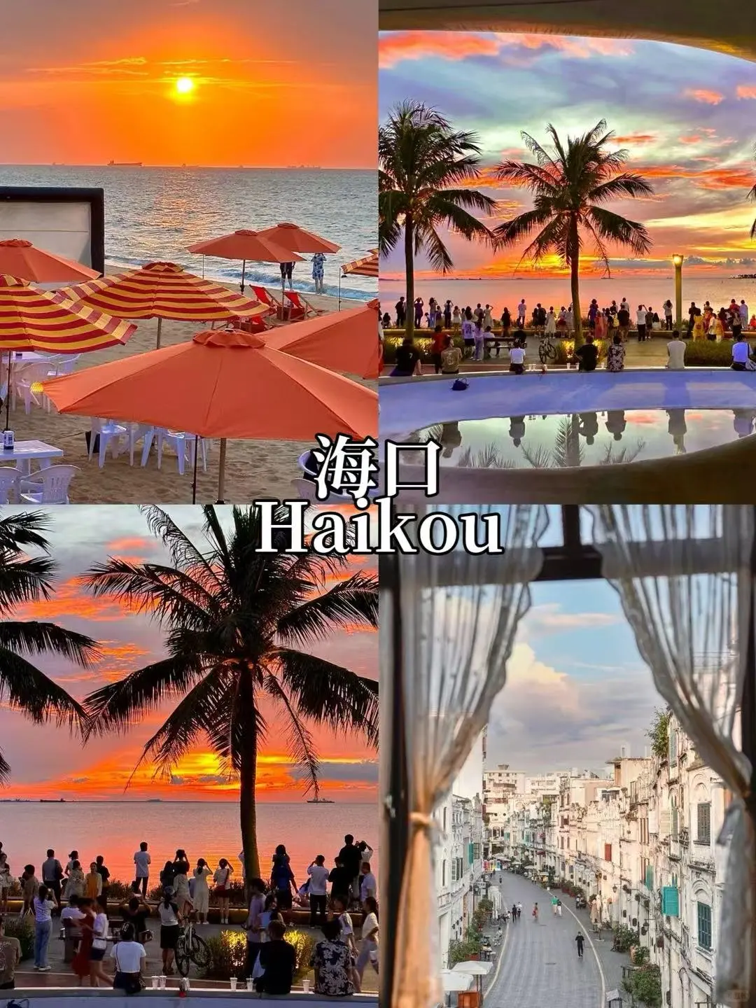 🇨🇳中国冬季避寒胜地｜Warm Winter Escapes