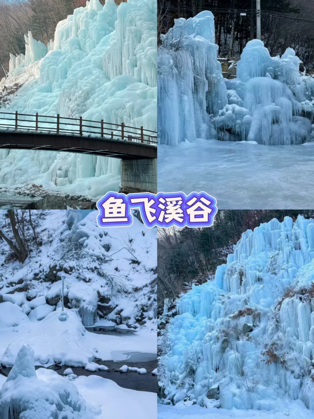 韩国冬季限定3大景点，包车游中韩文司导