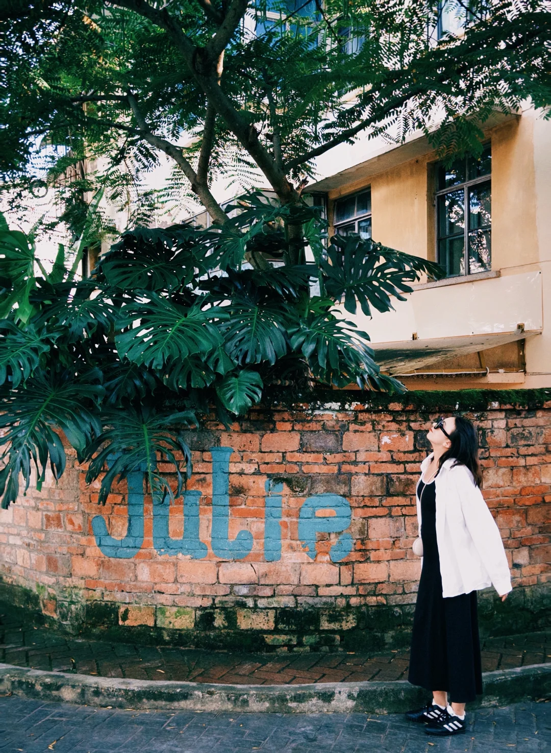 普洱| 咖啡庄园体验和看小熊猫的一天