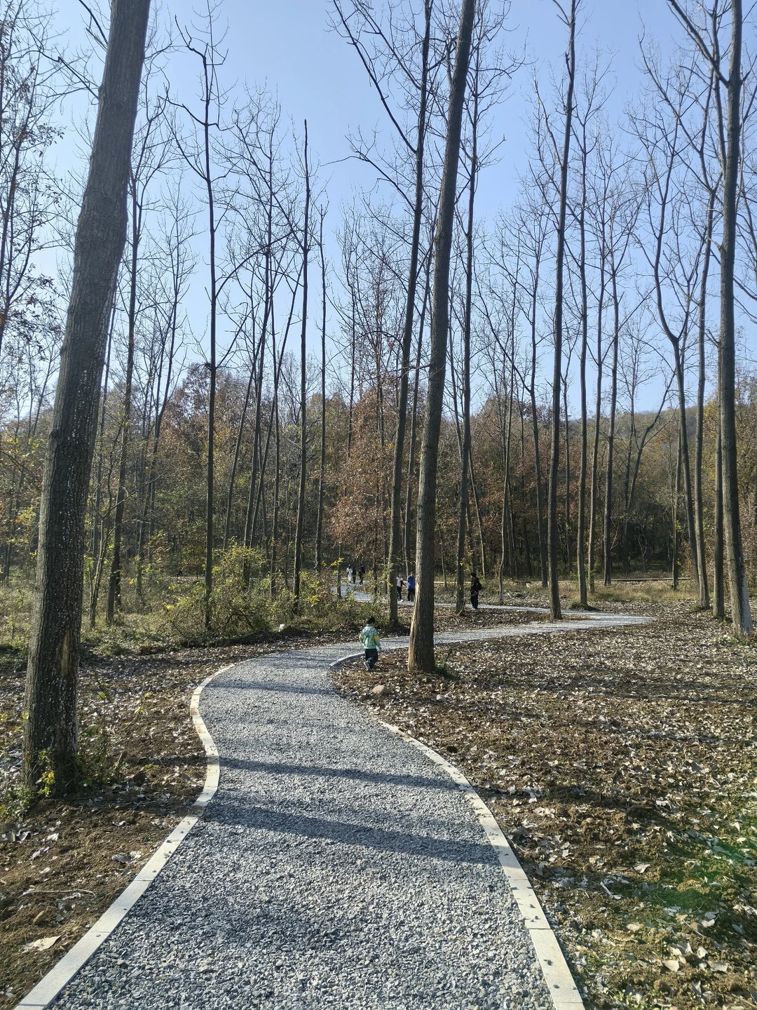 📍深秋止马岭｜南京亲子徒步天花板🍁💕